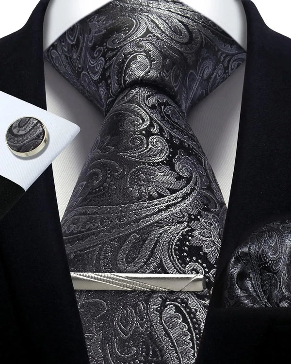 Regal Elegance Paisley Tie Collection
