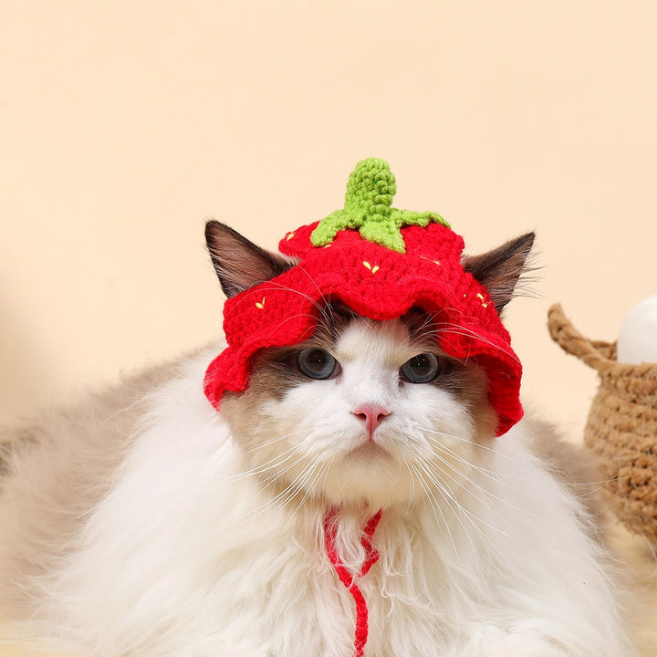 Kawaii Knitted Pet Hat - Juneptune