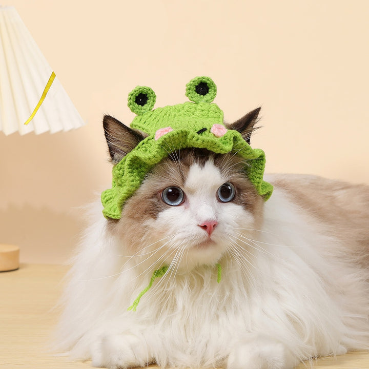 Kawaii Knitted Pet Hat - Juneptune